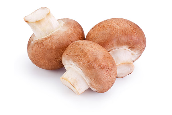 Fresh crimini mushrooms grown and distributed for wholesale by South Mill Champs