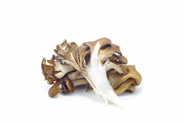 Fresh maitake mushrooms grown and distributed for wholesale by South Mill Champs