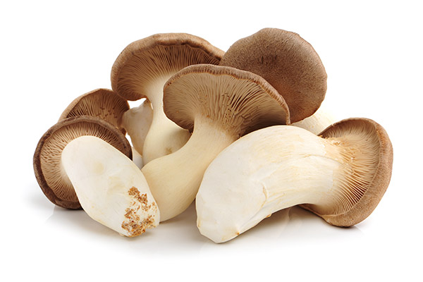 Fresh king trumpet mushrooms grown and distributed for wholesale by South Mill Champs