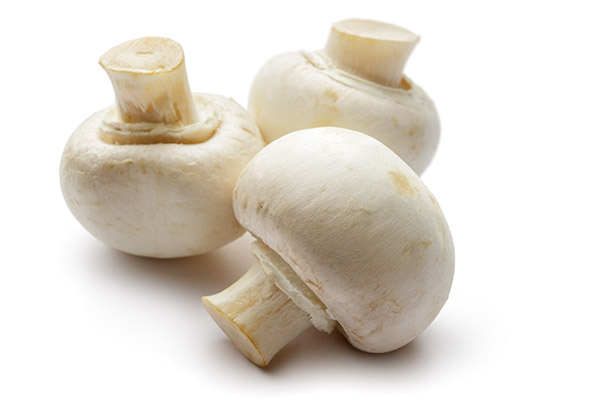 Fresh White Button Mushrooms Grown & Distributed by South Mill Champs