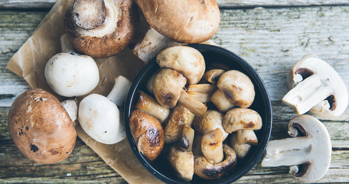 Mushrooms Contain Many Vitamins and Minerals