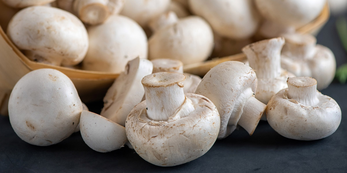 All Hail the Mushroom: King of the Superfood