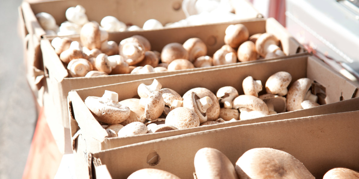 Mushrooms go from Trend to Powerhouse