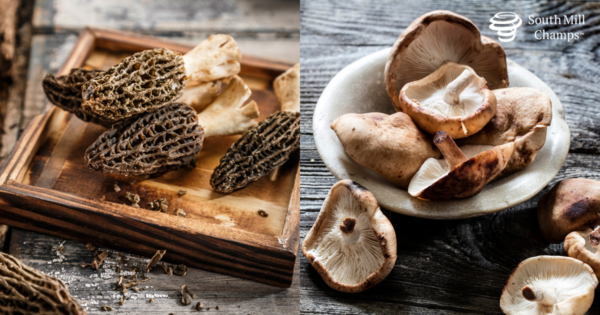 Morel and Shiitake Mushrooms