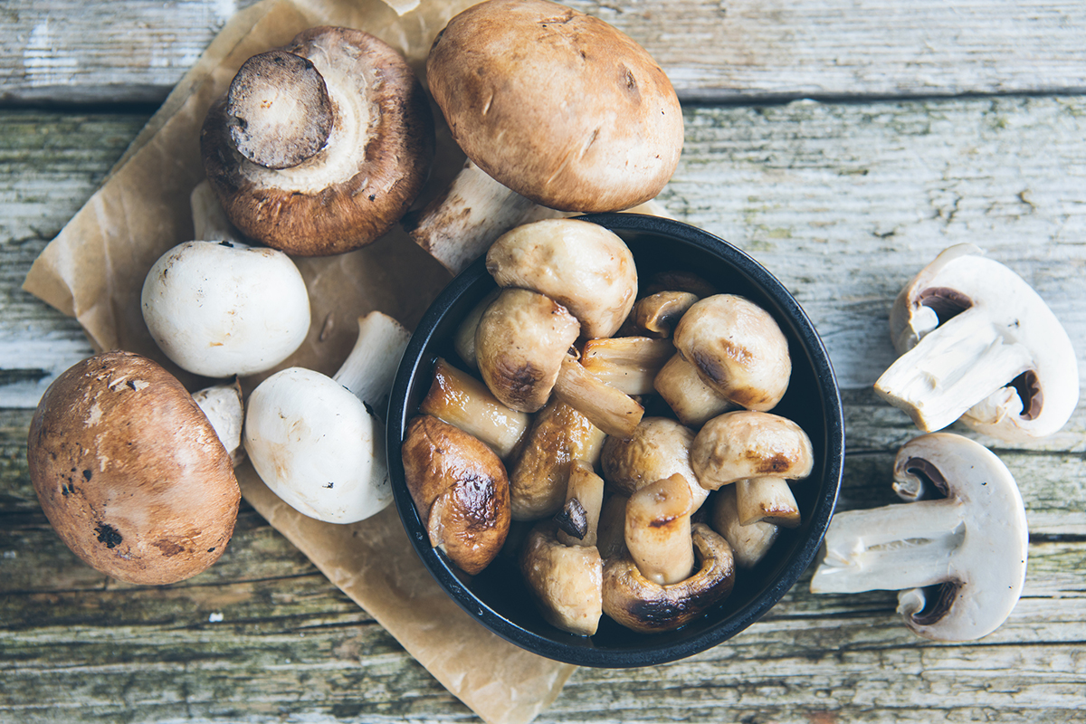 How to Dry Fresh Mushrooms 