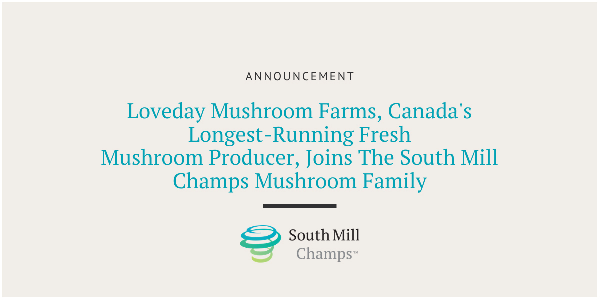 Loveday Mushroom Farms, Canada's Longest-Running Fresh Mushroom Producer, Joins The South Mill Champs Mushroom Family