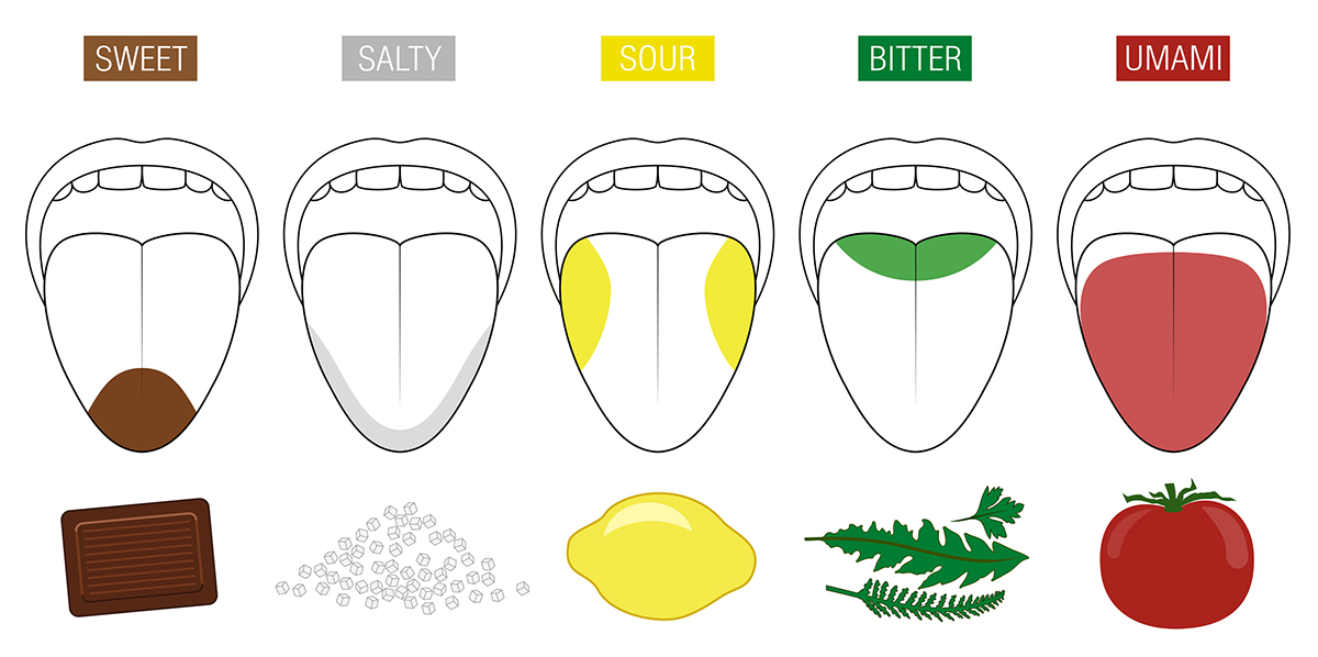 What Is Umami?