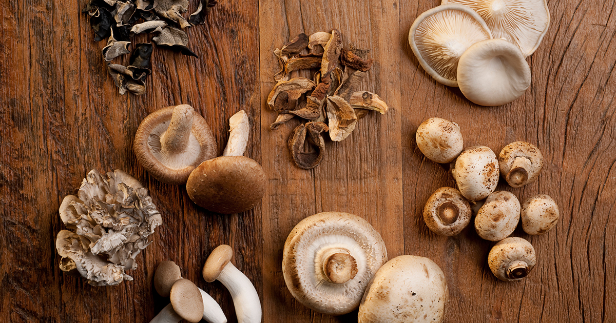Popular Edible Mushrooms 