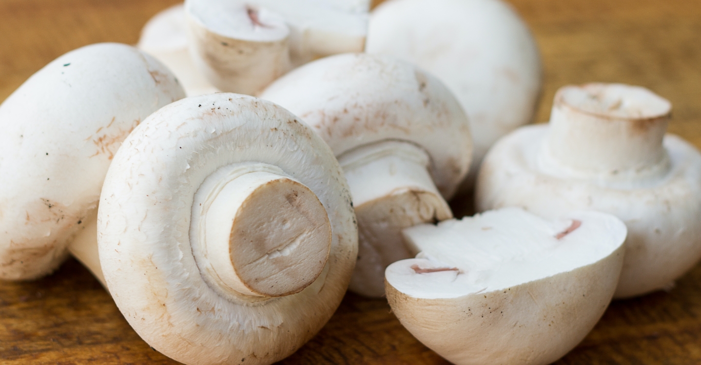 South Mill Champs Acquires The Mushroom Company — South Mill Mushrooms