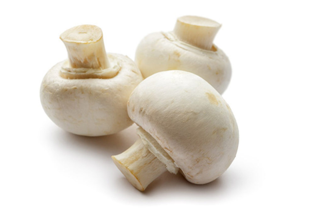 White Button Mushrooms  Mushroom Varieties 101