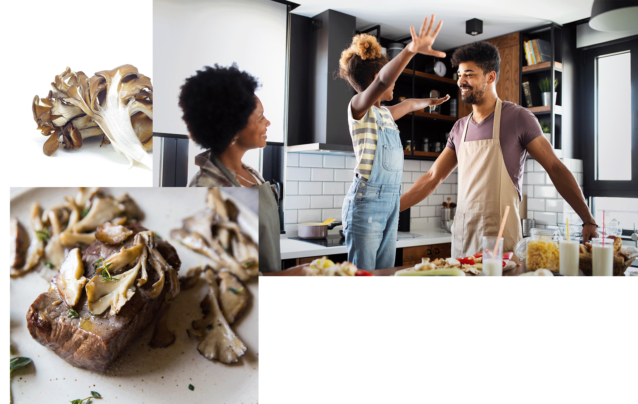 Maitake Mushroom Supplier South Mill Champs