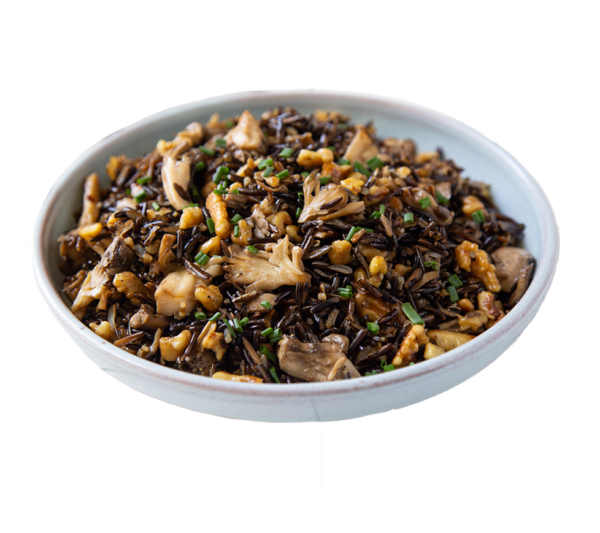 Maitake Mushroom Supplier South Mill Champs