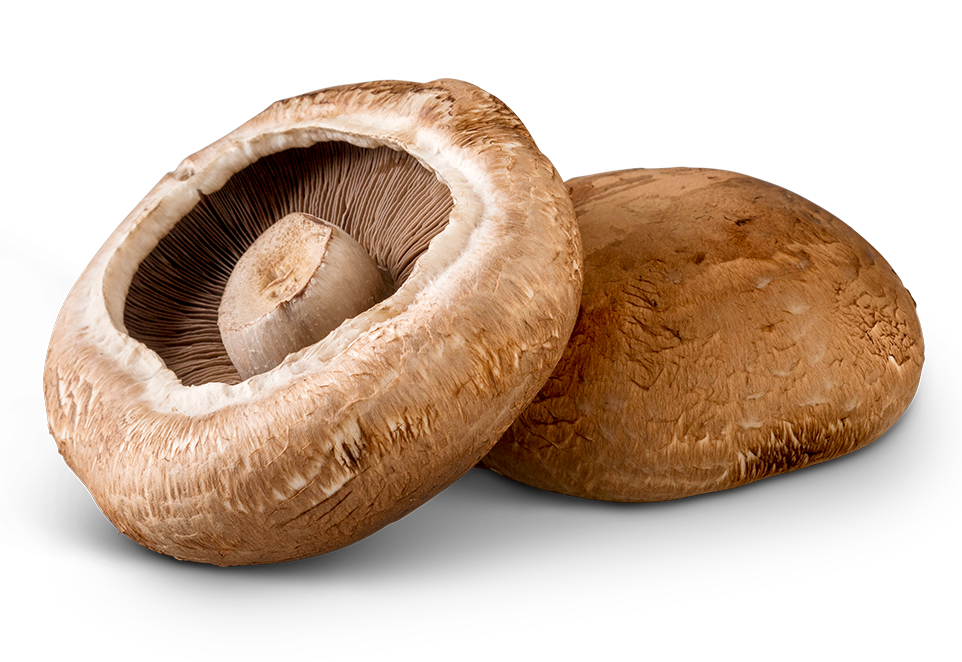 South Mill Portabella mushrooms 