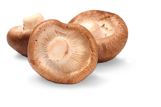 Shitake Mushroom Caps Whole - 8 Ounces - Whole Dried Japanese Shitake