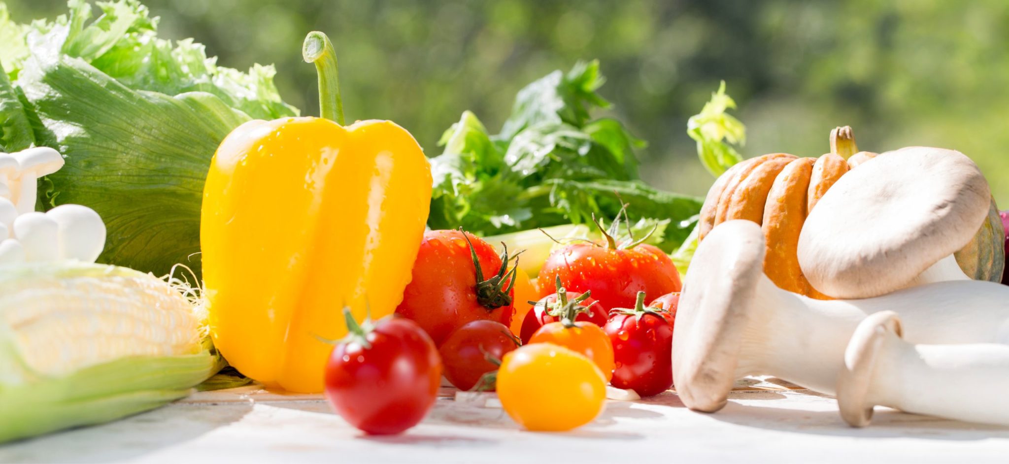 South Mill Champs Announce Equity Partnership with G&K Distributing