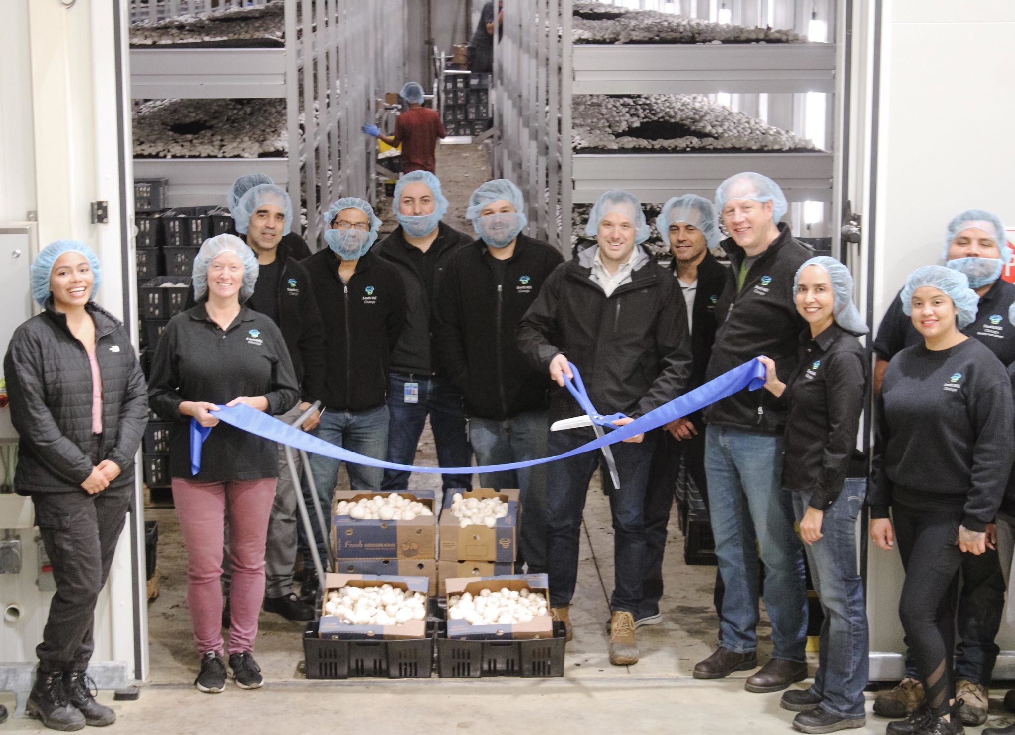 South Mill Champs Opens New Modern Mushroom Farm — South Mill Mushrooms