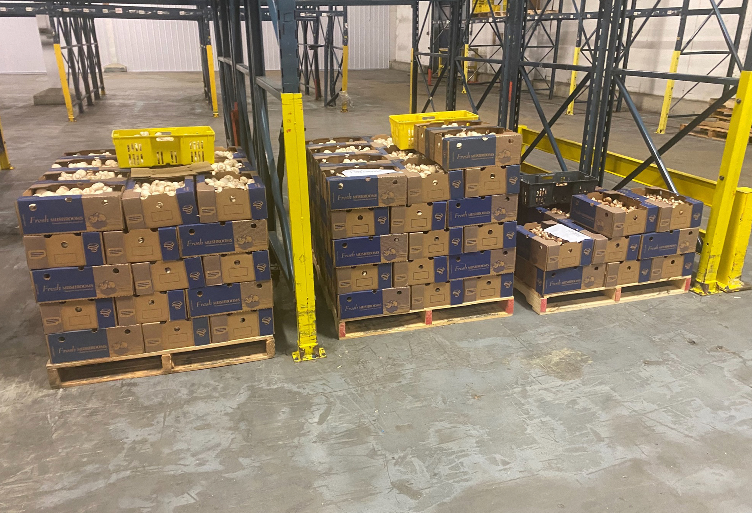 Boxed mushrooms at South Mill Indianapolis distribution center