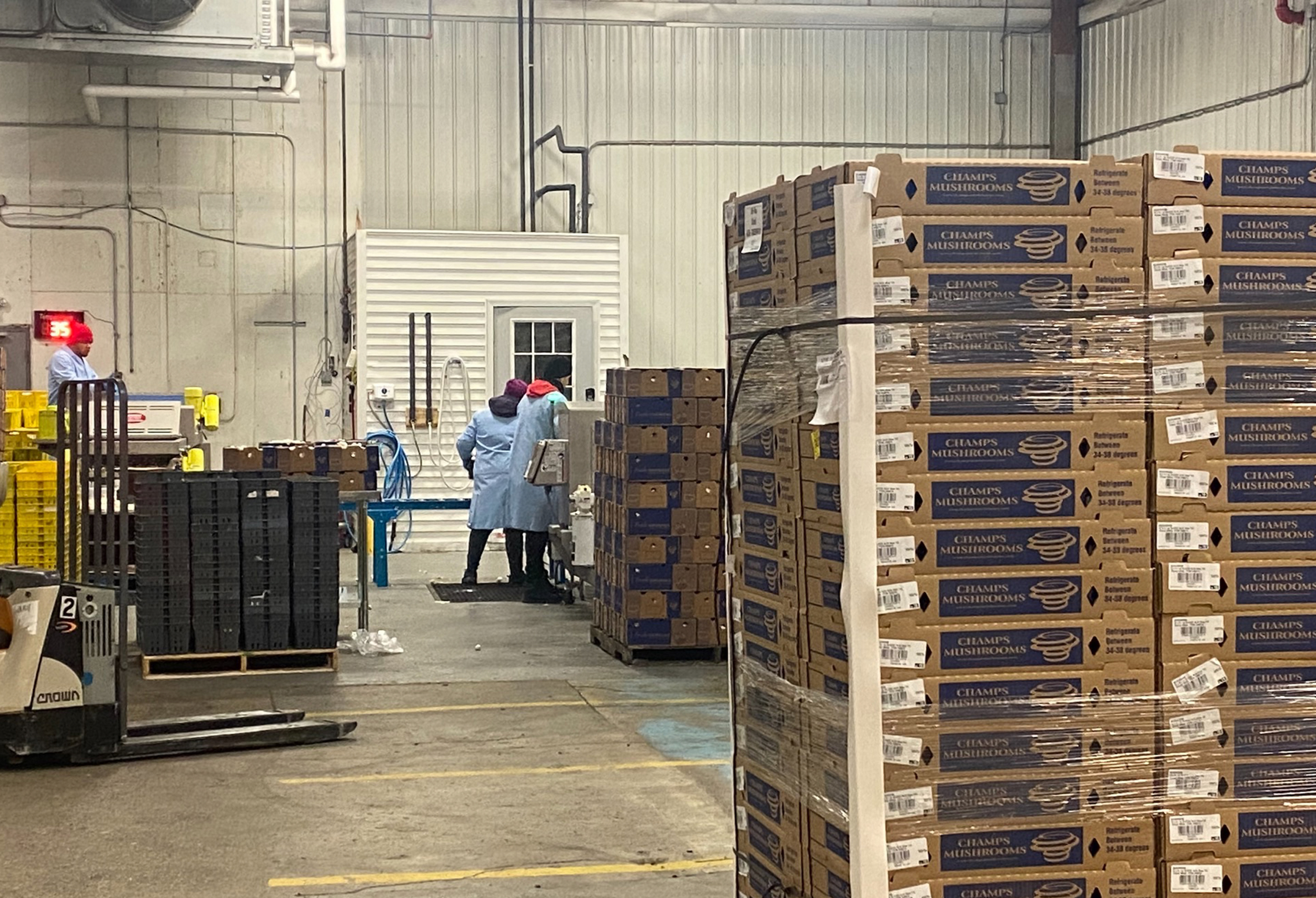 Workers moving boxes at the South Mill Indianapolis distribution center