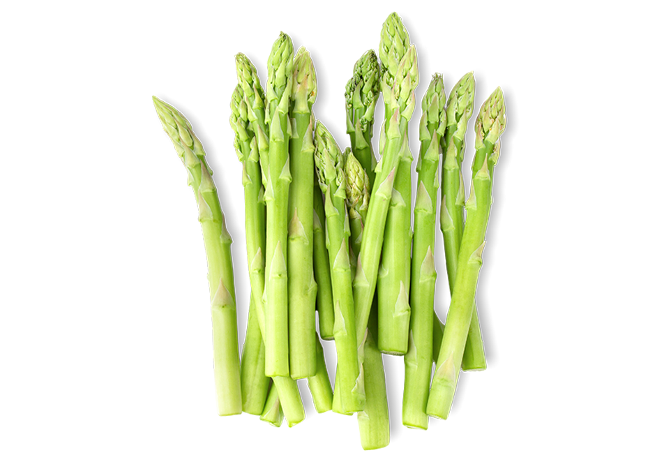 South Mill Champs Asparagus 
