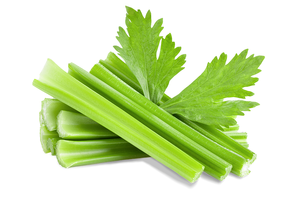 South Mill Champs Celery 