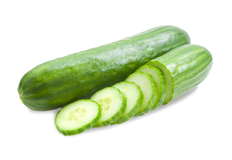 South Mill Cucumber 