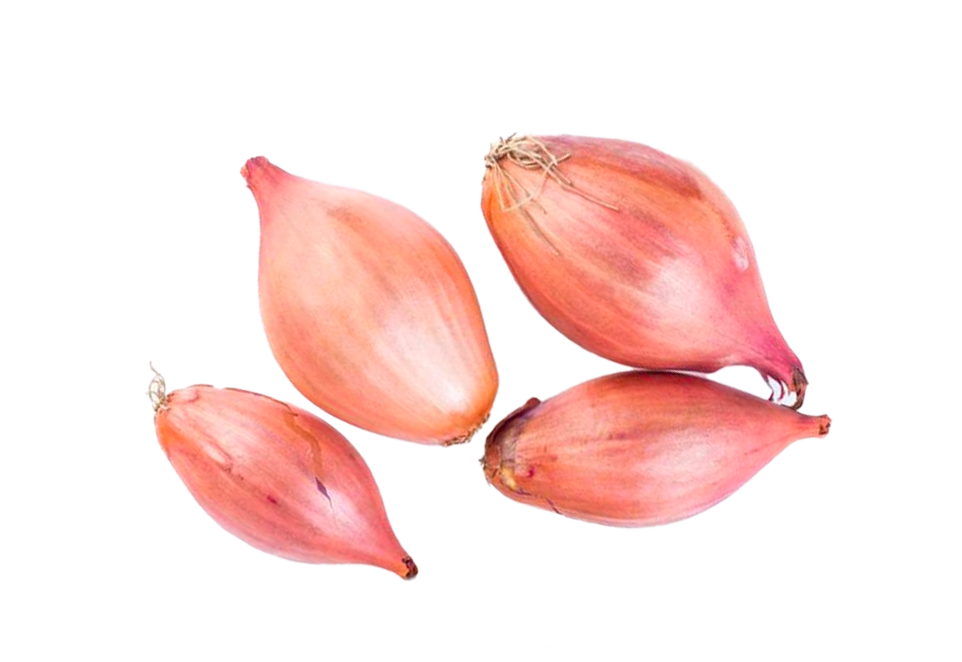 Shallots from a distribution center