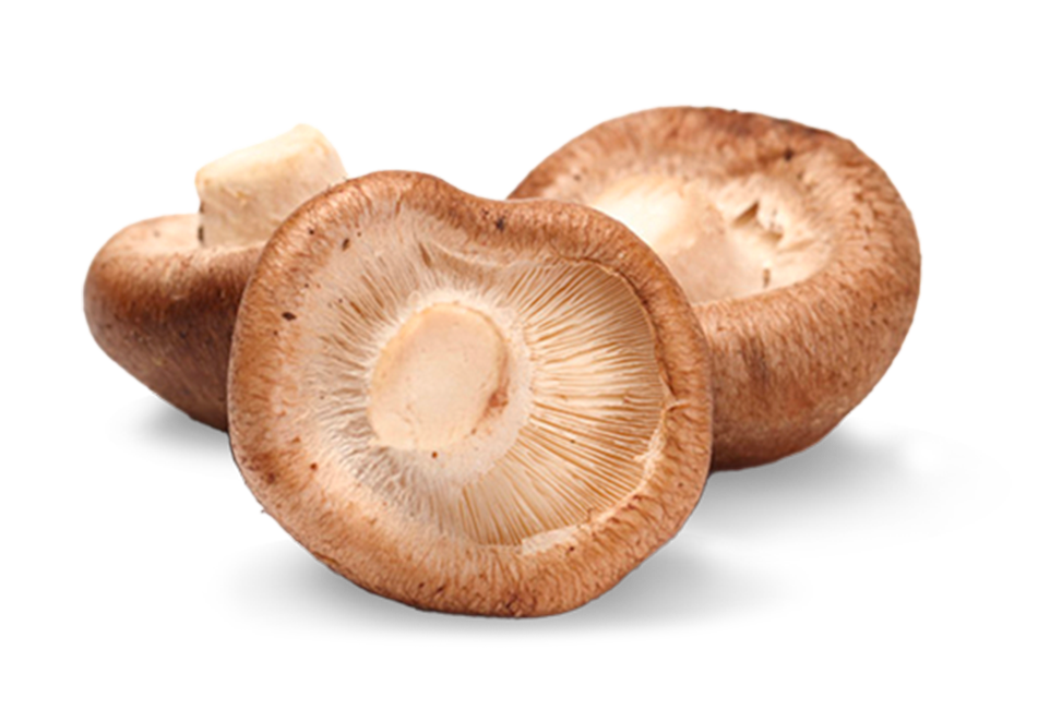South Mill Shiitake mushrooms 