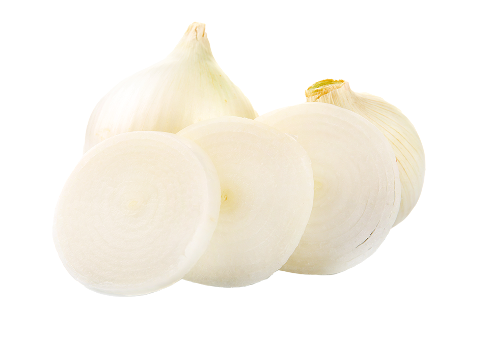 South Mill White onion 