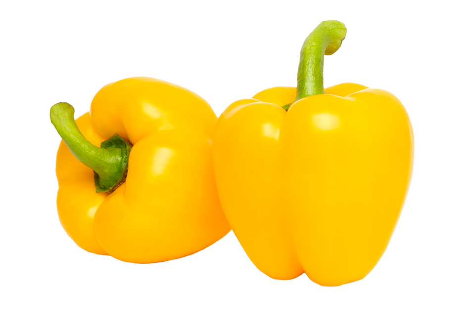 South Mill Yellow pepper 
