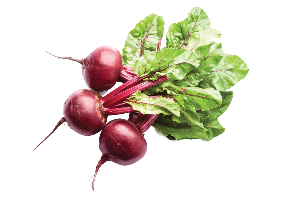 South Mill Champs Beets 