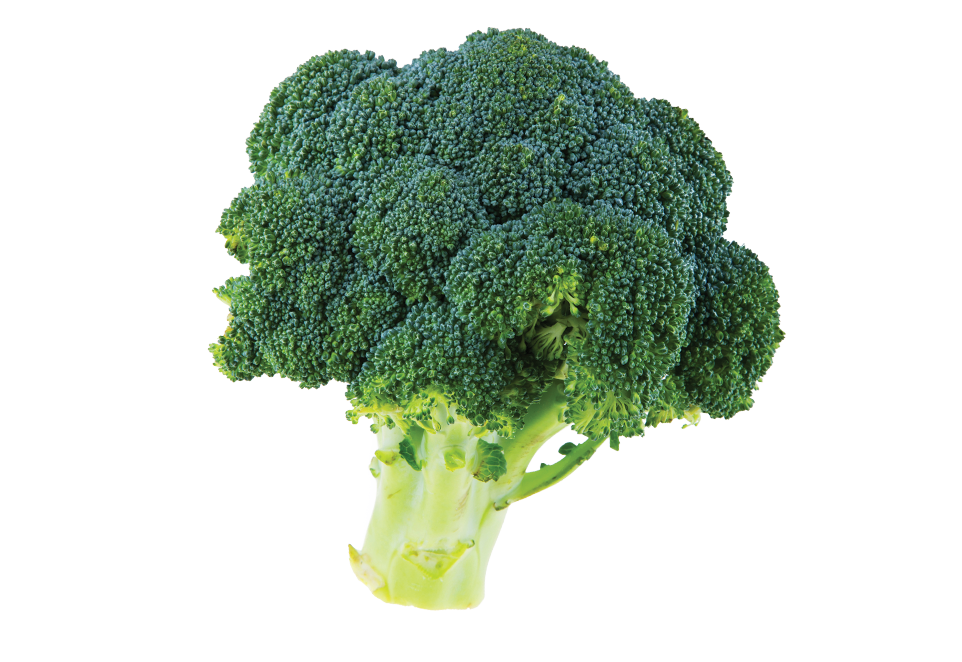 South Mill Champs Broccoli 