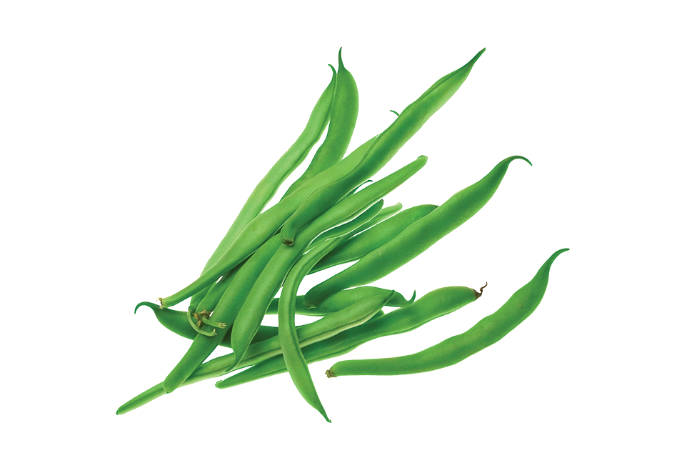 South Mill Champs French Beans 