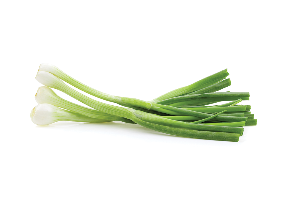 South Mill Champs Green Onion  