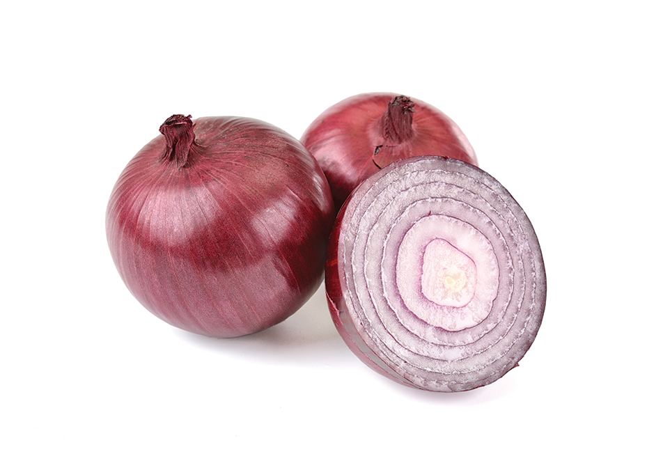 South Mill Champs Red Onion  